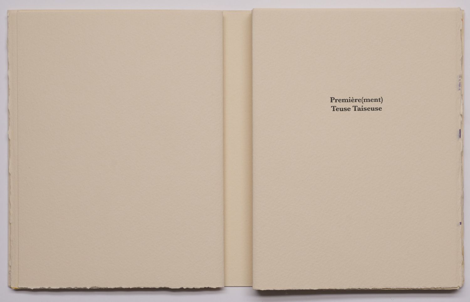 2013_introit_alainjouffroy_philippeamrouche_pagedetire04.jpg