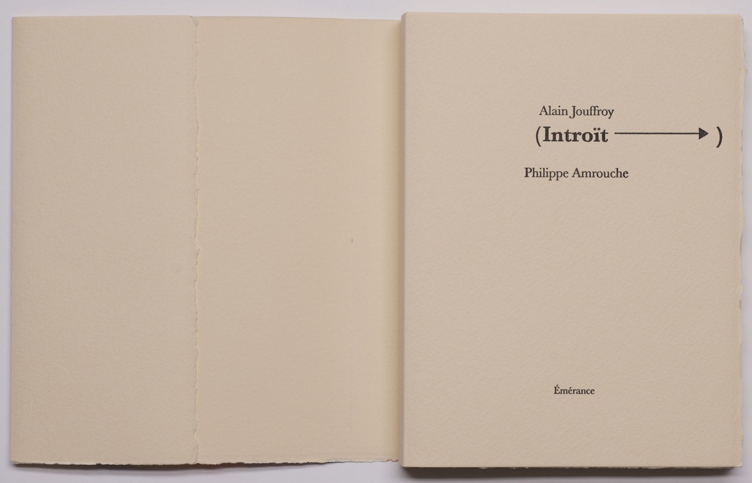 2013_introit_alainjouffroy_philippeamrouche_pagedegarde.jpg