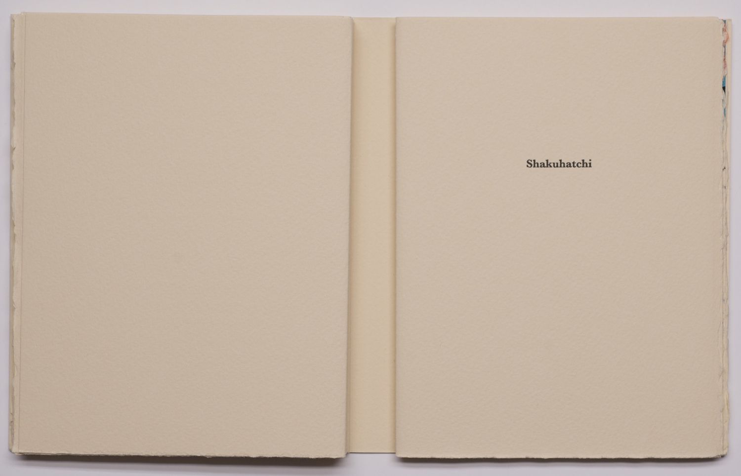 2013_introit_alainjouffroy_philippeamrouche_pagedetitre07.jpg