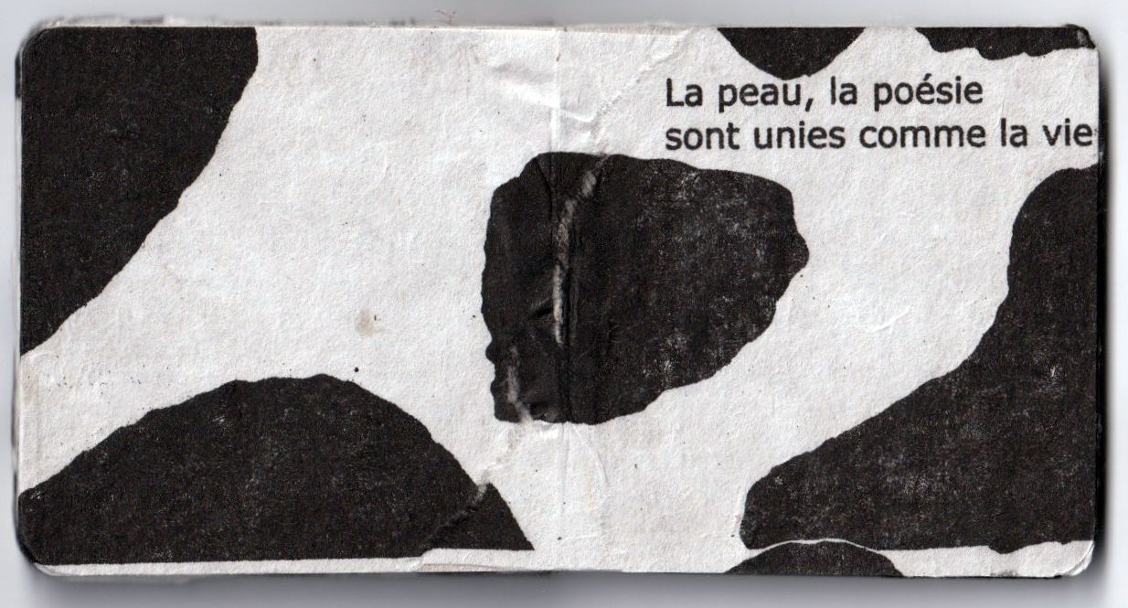 2006-vachedepeau-alainjouffroy_wandamihuleac_livret2.png